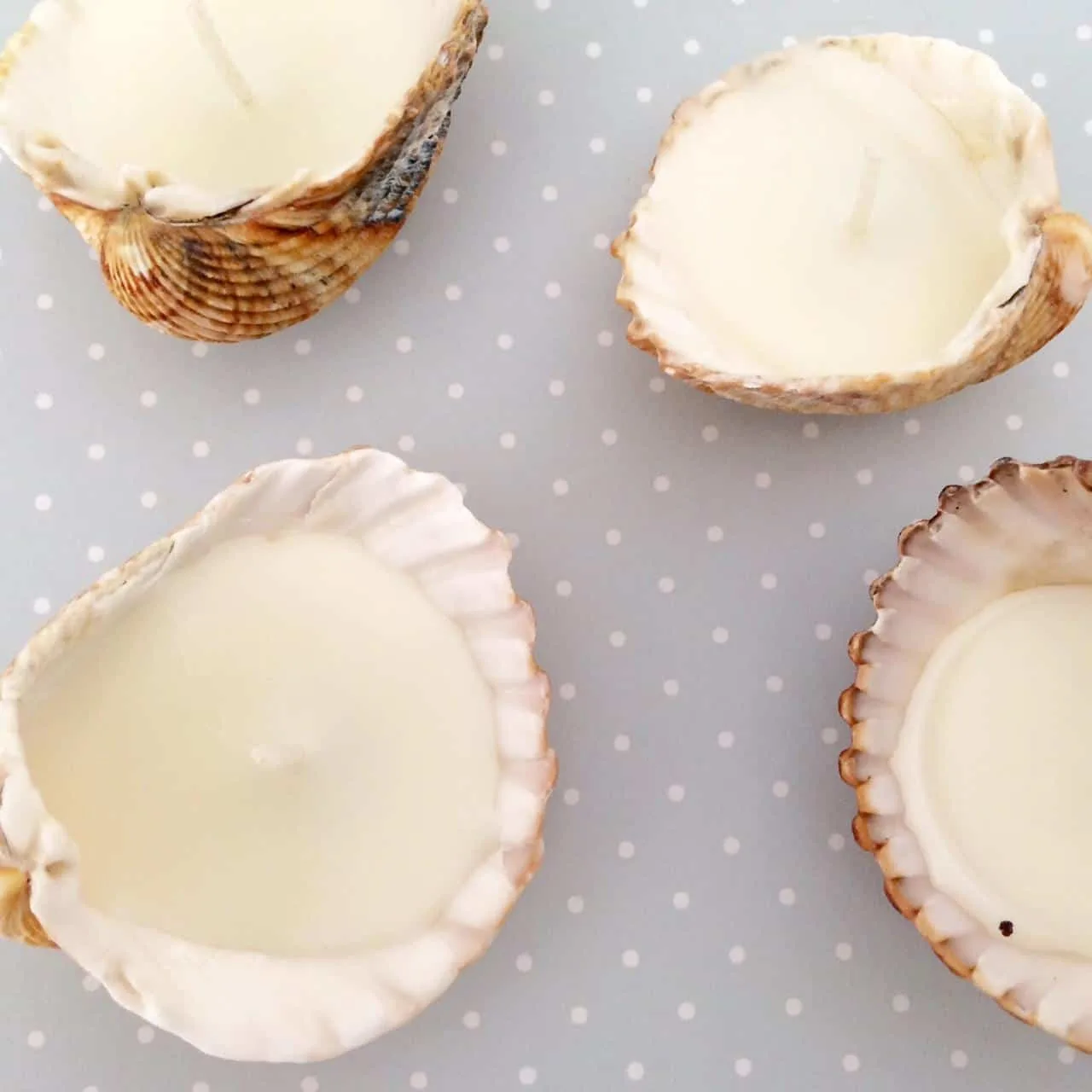 Seashell Candles