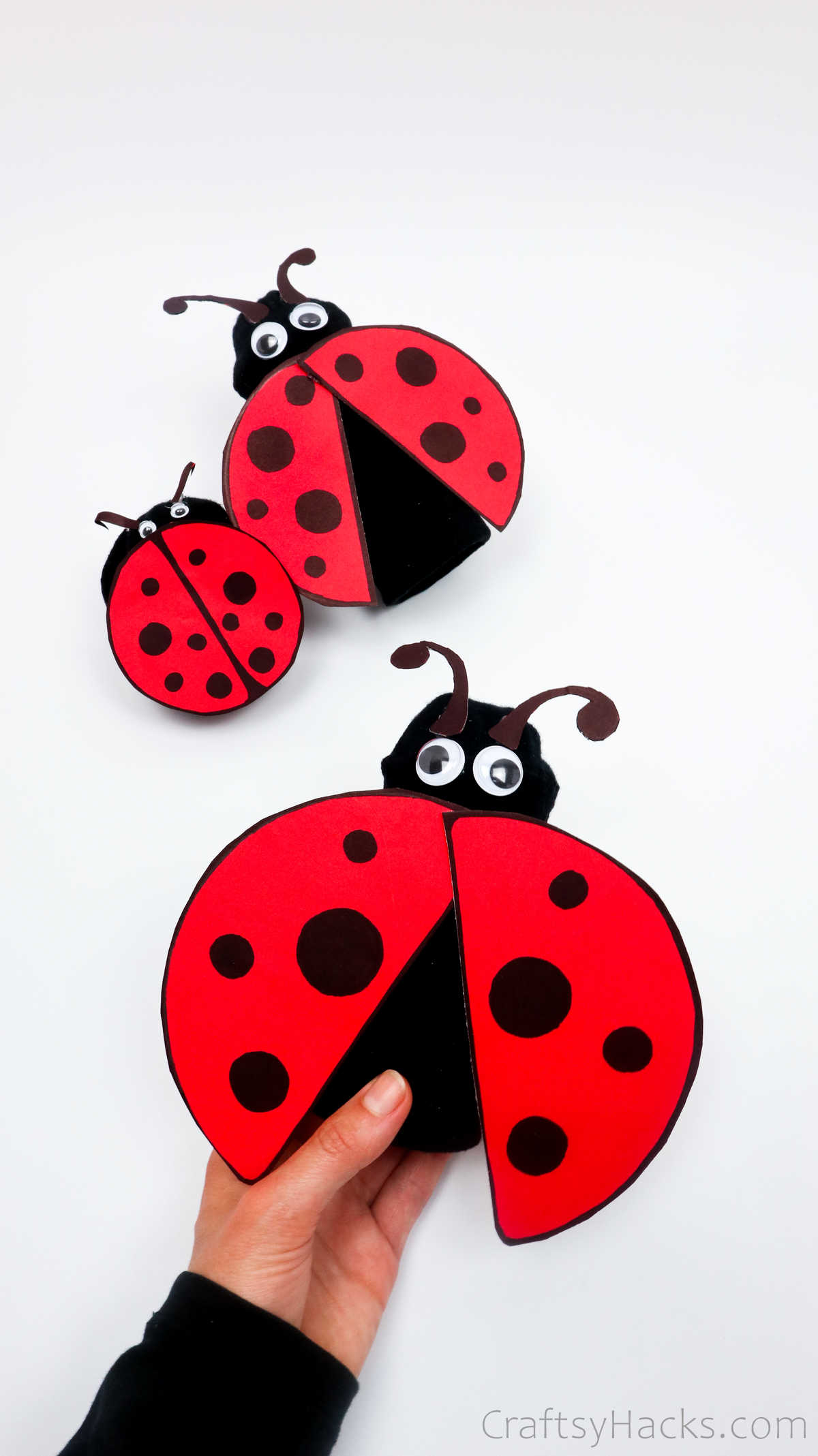 holding ladybug craft
