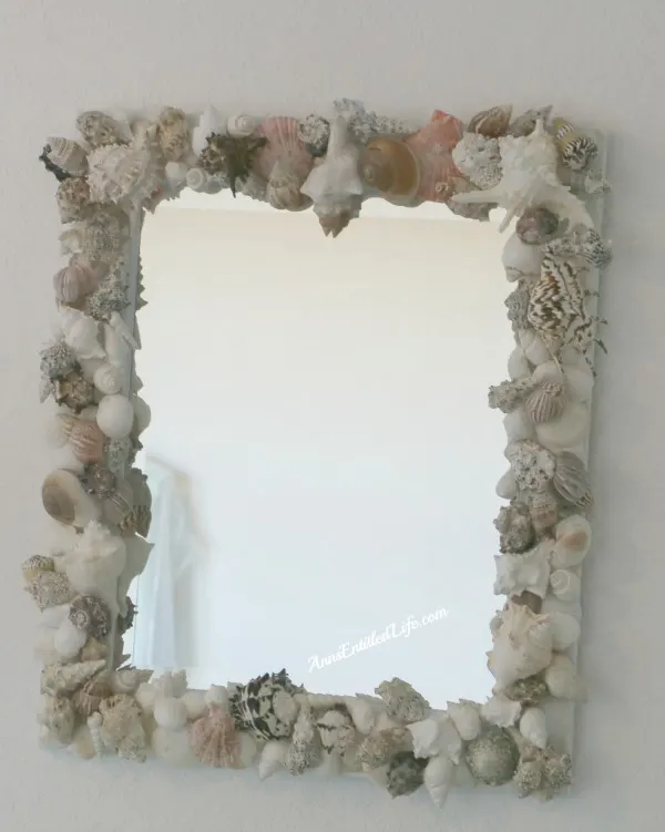 Seashell Mirror