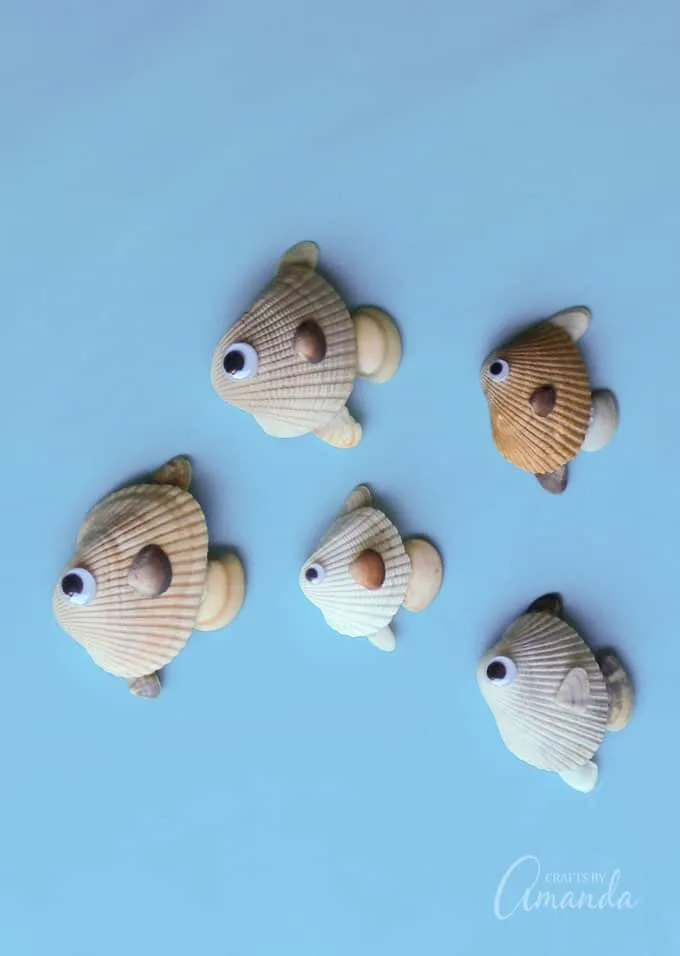 Seashell Fish