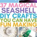 seashell crafts