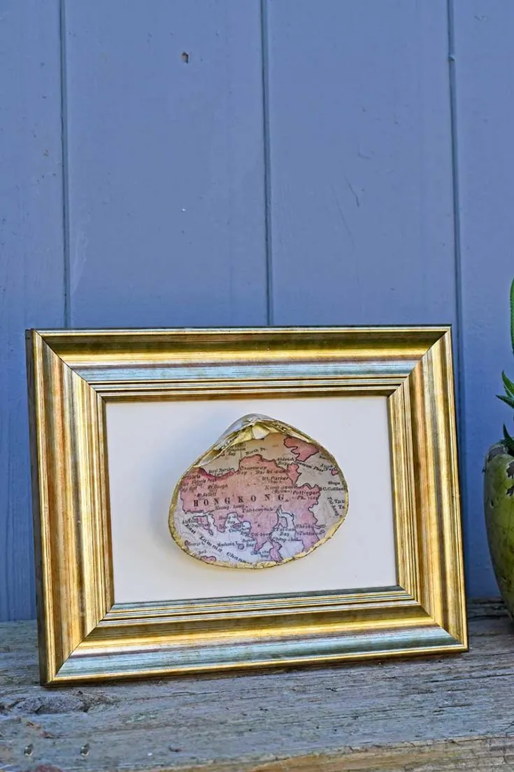 Map Seashell Gift