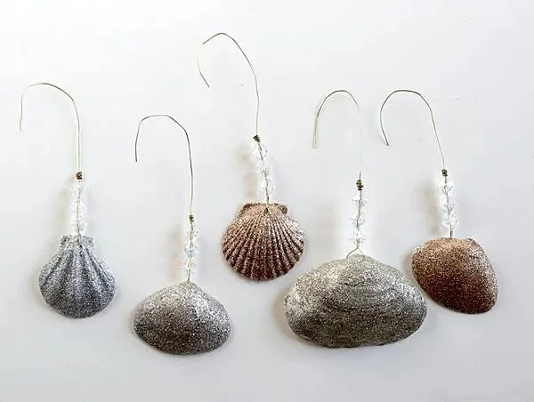 Seashell Ornament