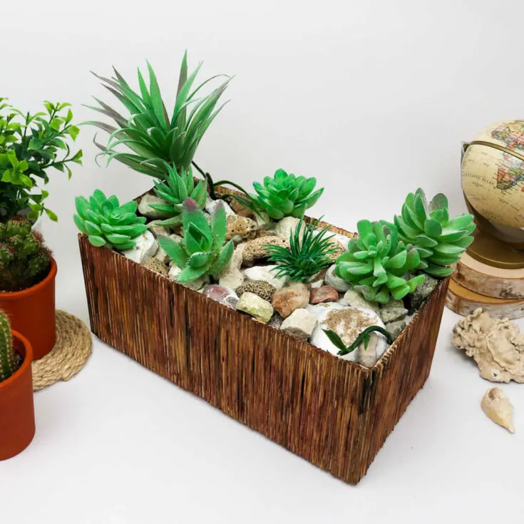 diy succulent planter