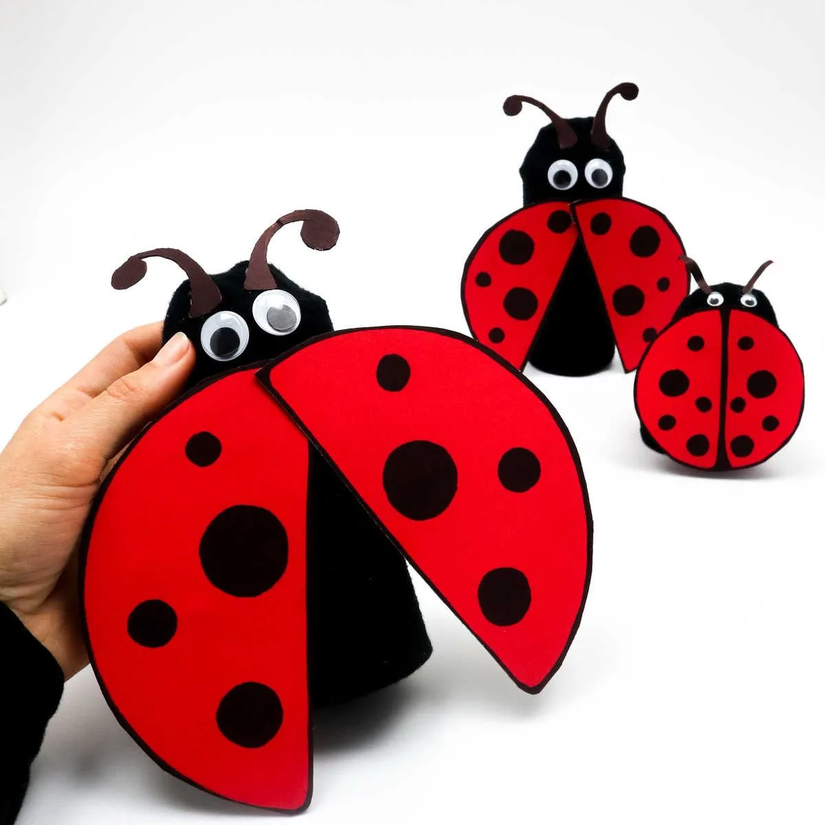 ladybug craft