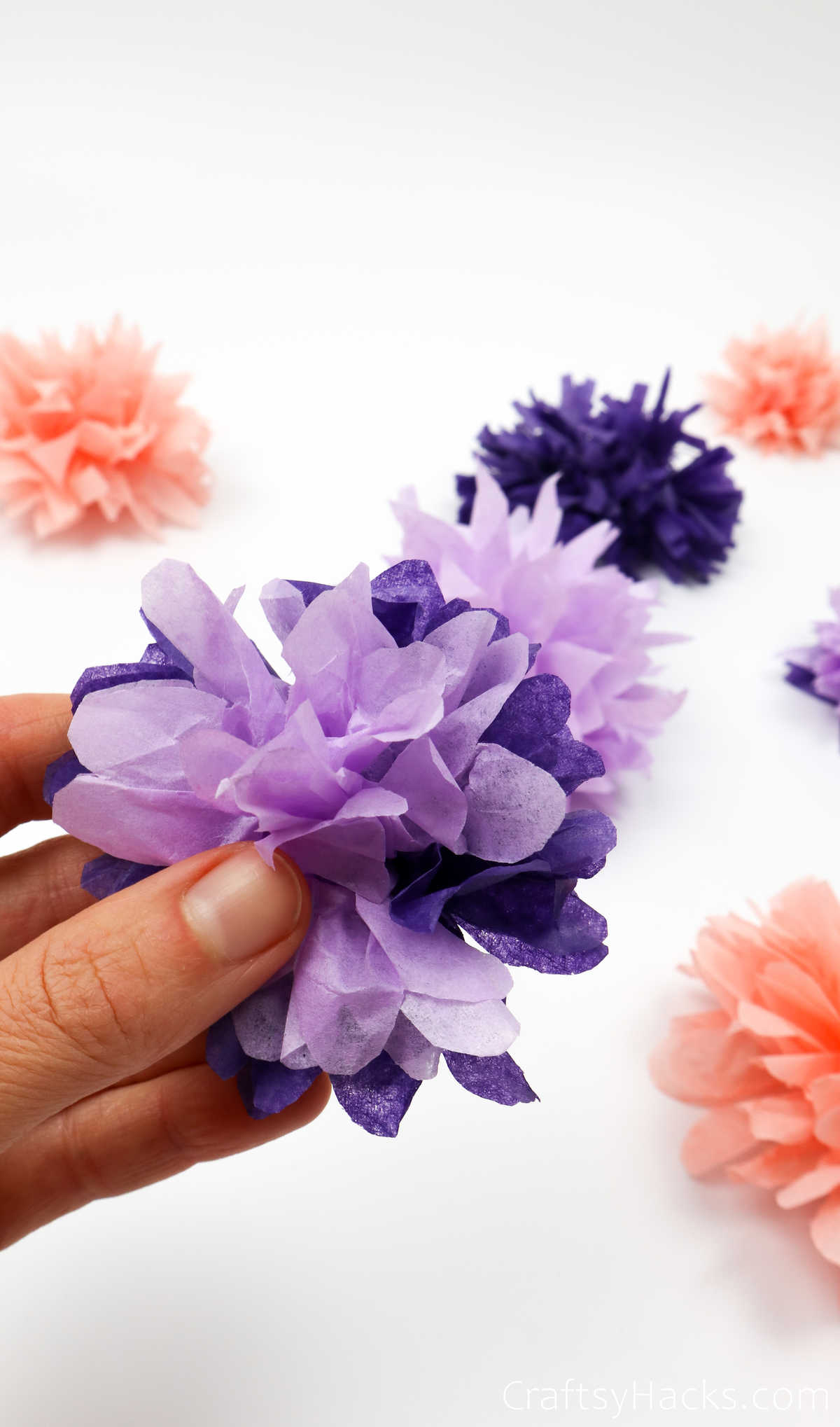 purple tissue flower