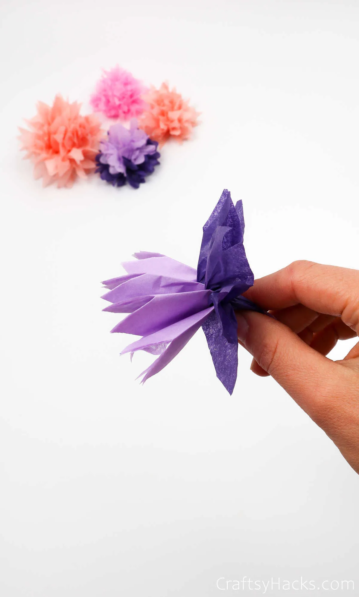 unfolding flower