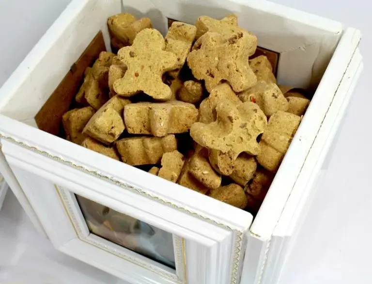 Dog Treat Photo Cube