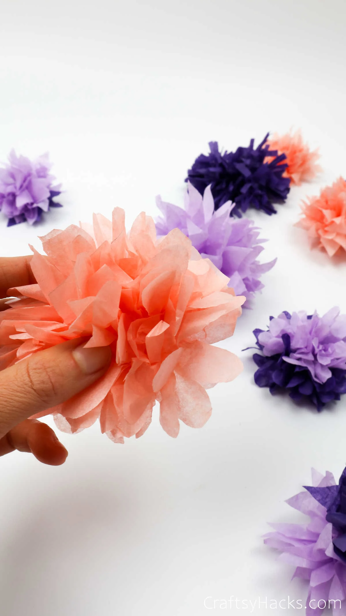 holding tissue flower