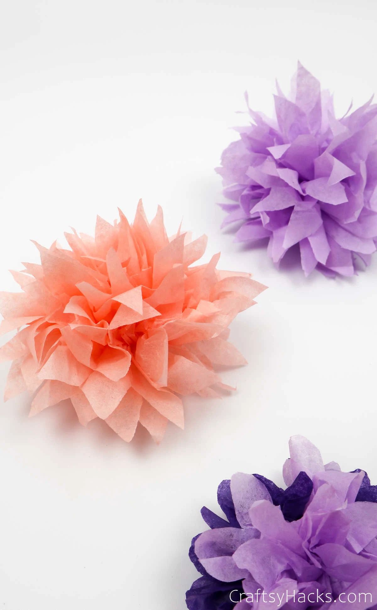 3 tissue flowers