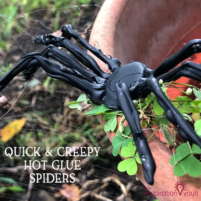 Spider Craft