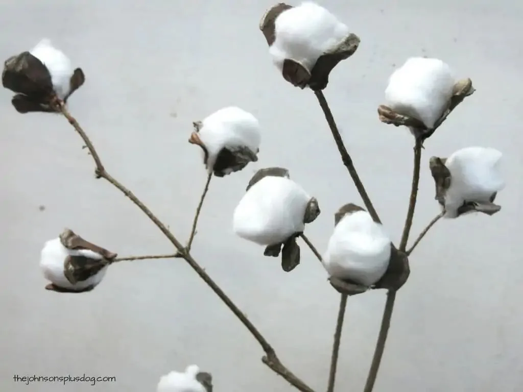 DIY Cotton Stems