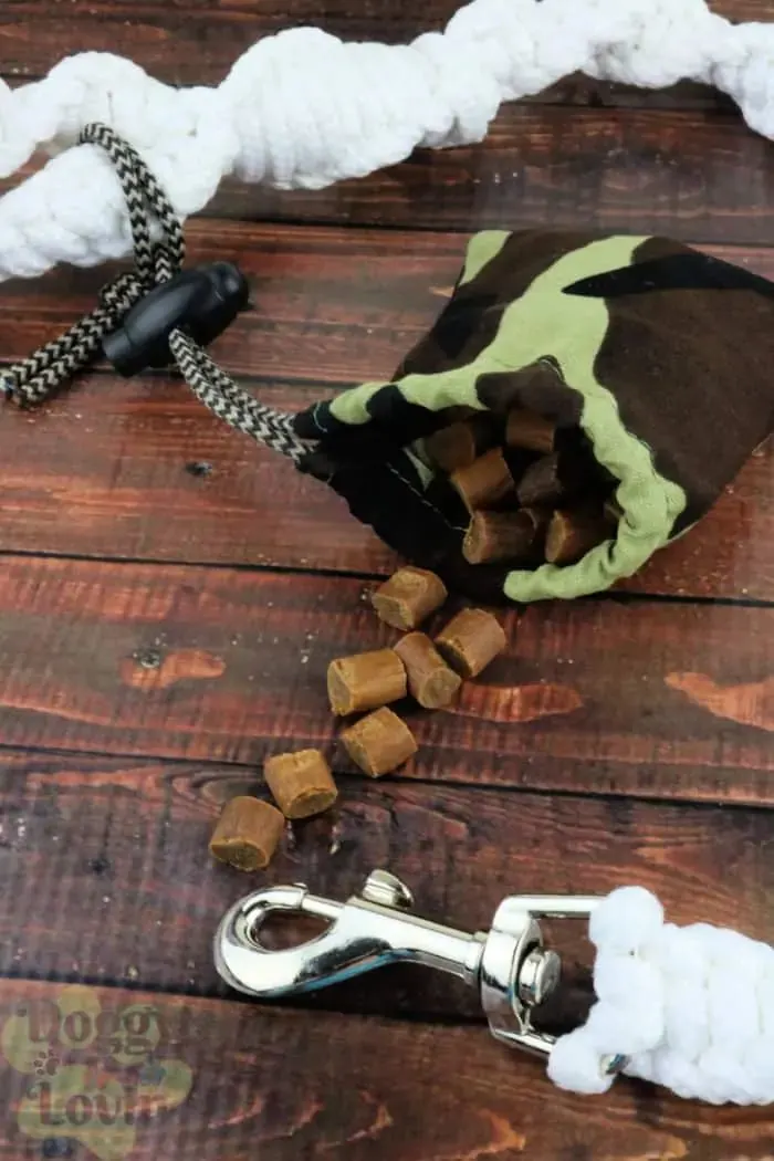 Dog Training Treats Pouch