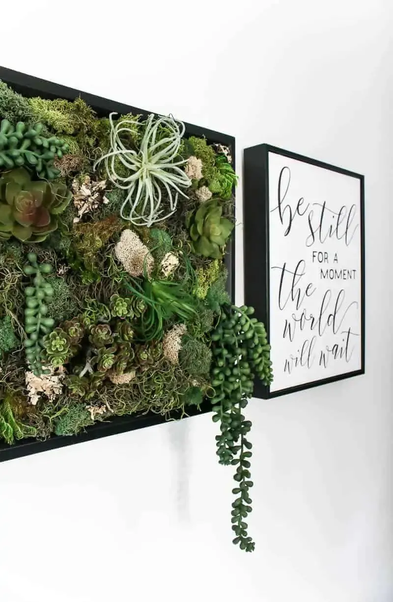 Succulent Wall Decor