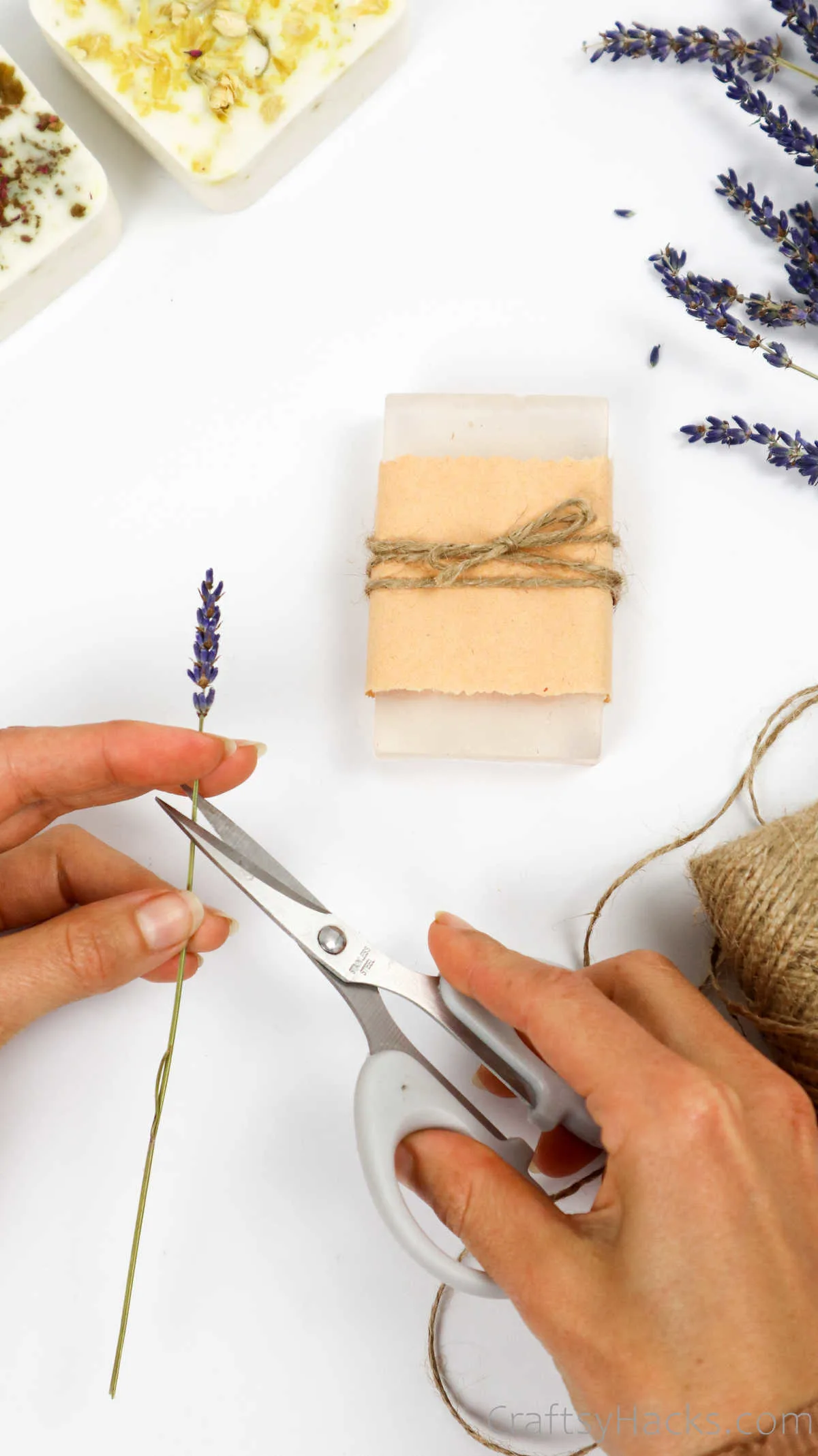 cutting flower stems