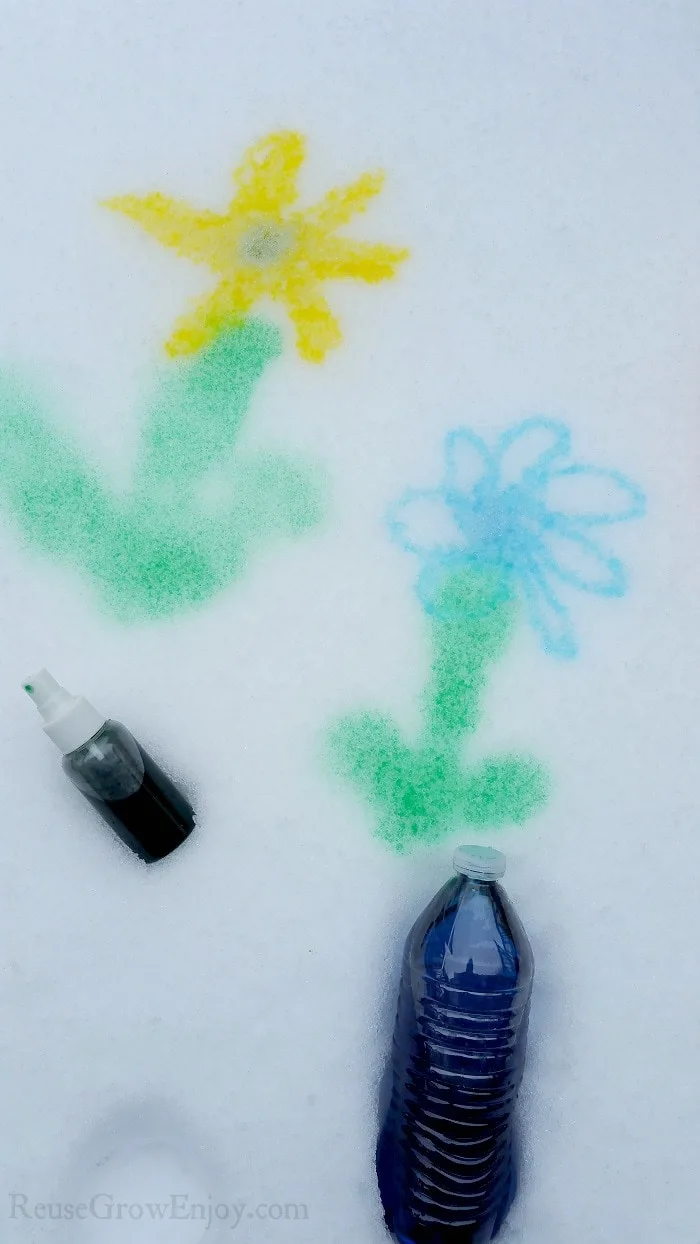 Snow Flowers