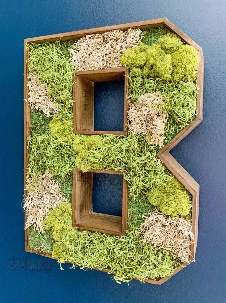 Wooden Mossy Letter