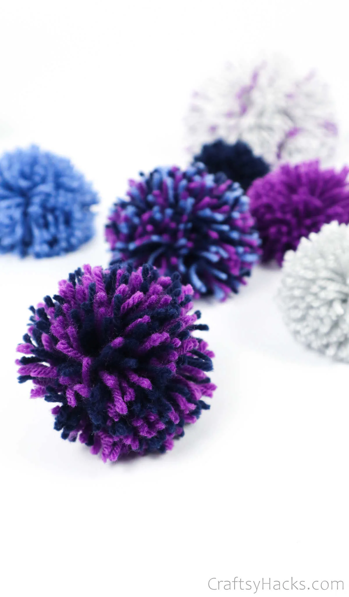 purple pom pom