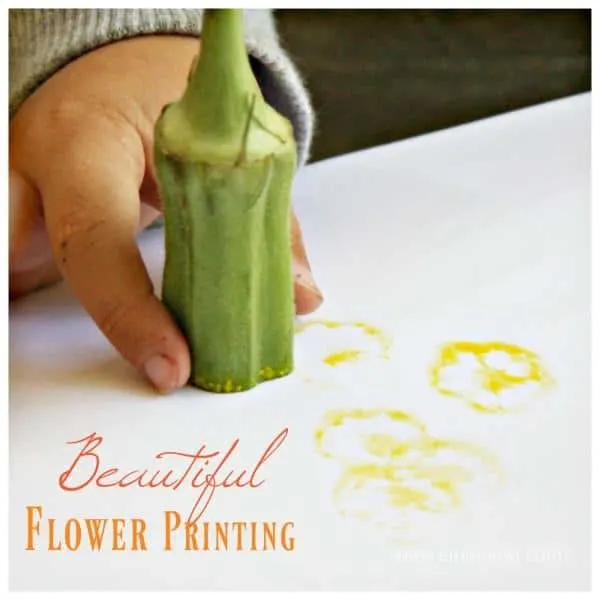 Okra Flower Prints