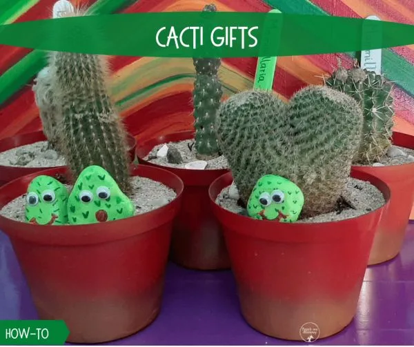 Cacti Gifts