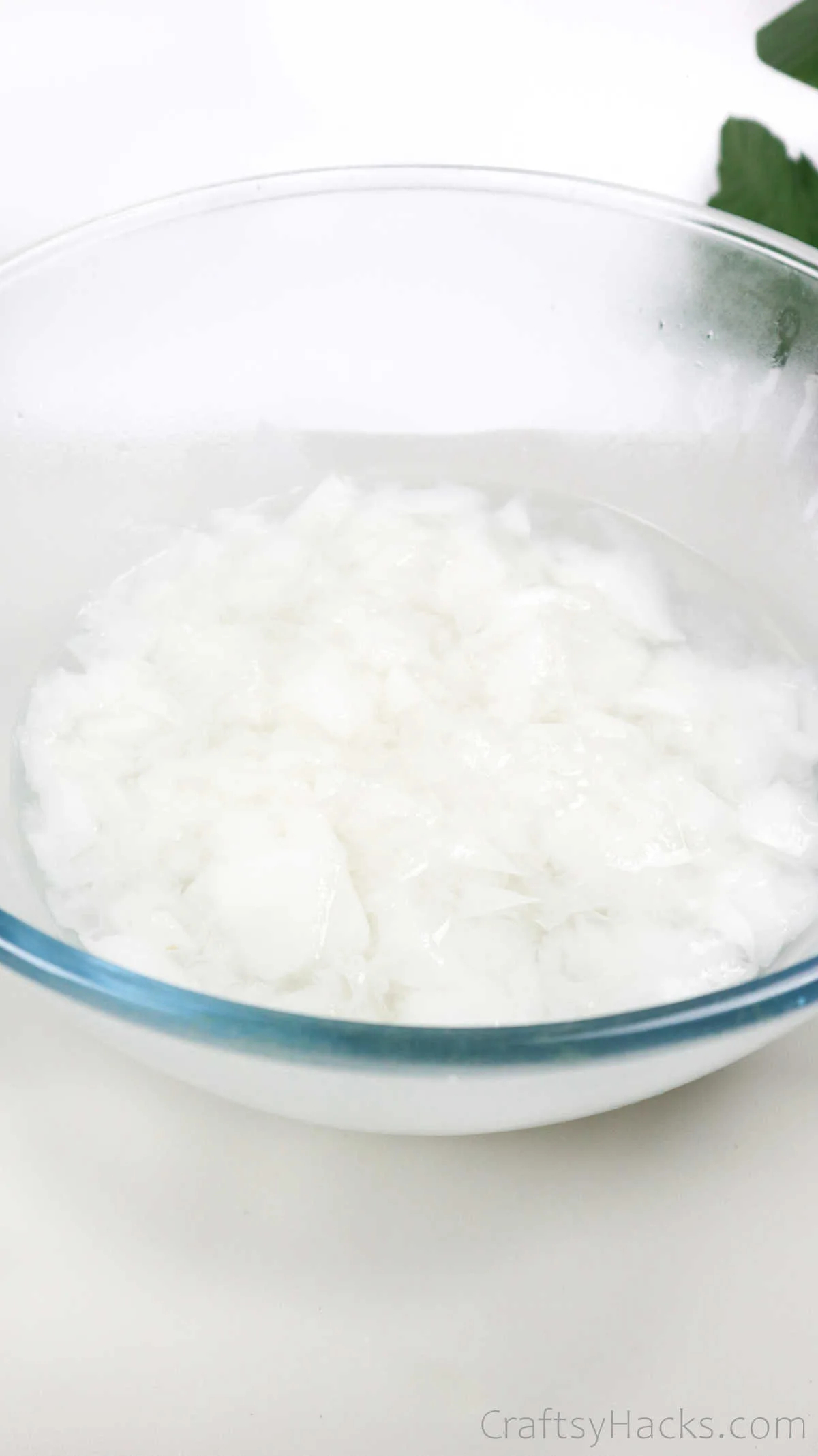 paper and water in bowl