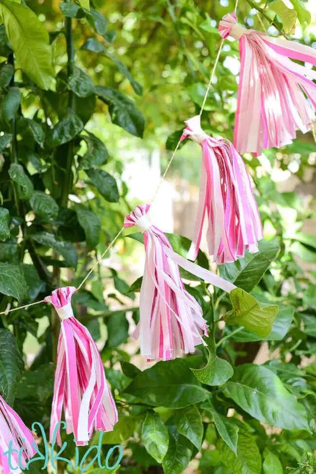 Paper Tassel Garland