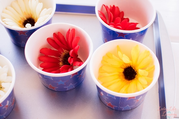 Cups and Flowers Toddler DIY Project