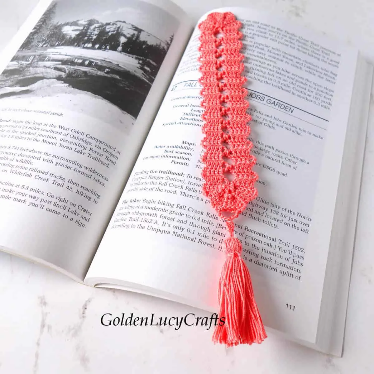 Crochet Bookmark