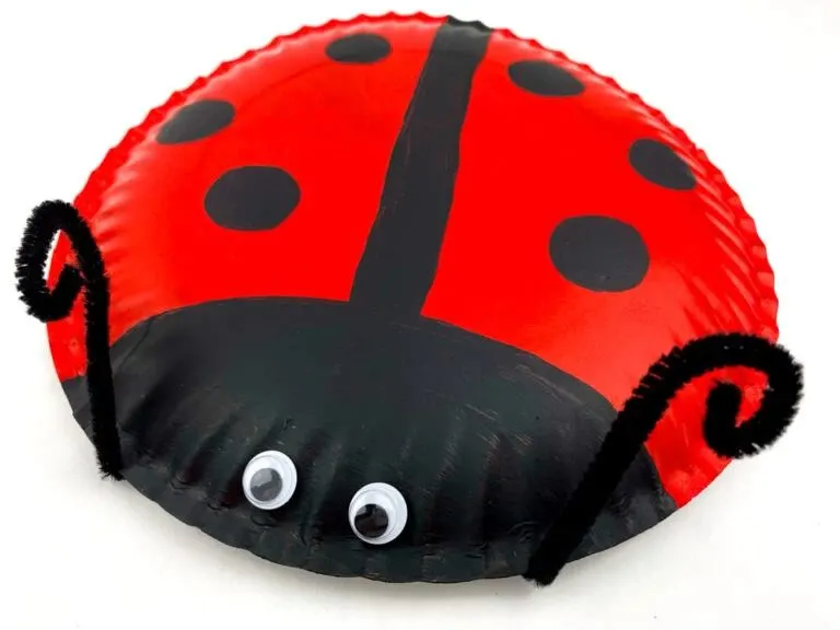 Ladybug