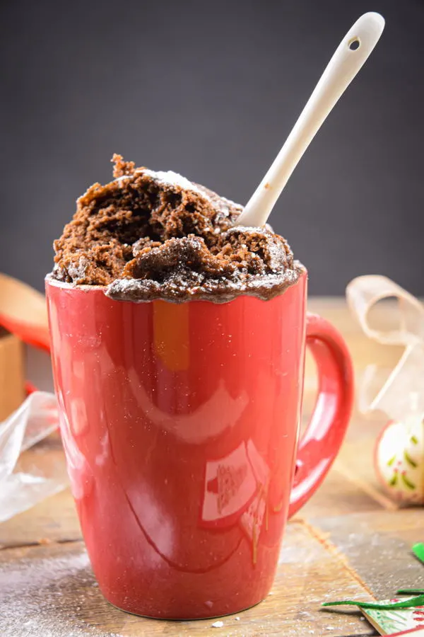 Fudgy Chocolate Mug Cake