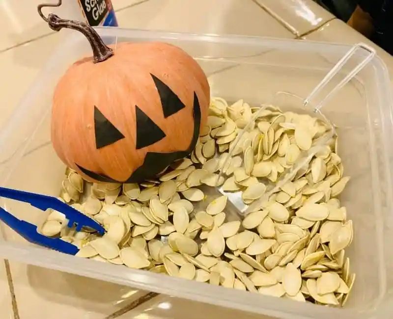 Halloween Sensory Bin