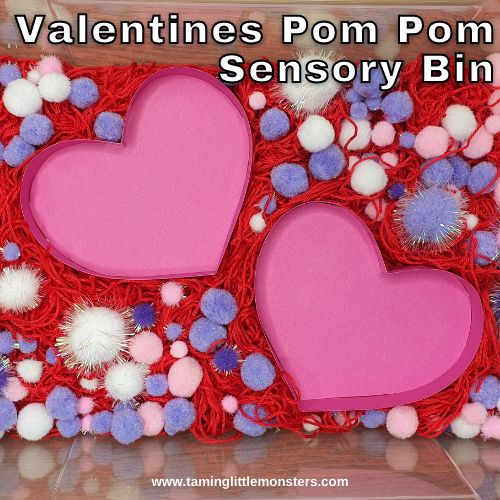 Valentine's Pom Pom Sensory Bin
