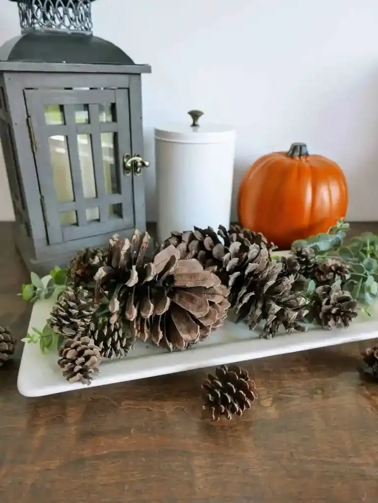 Scented Pinecones