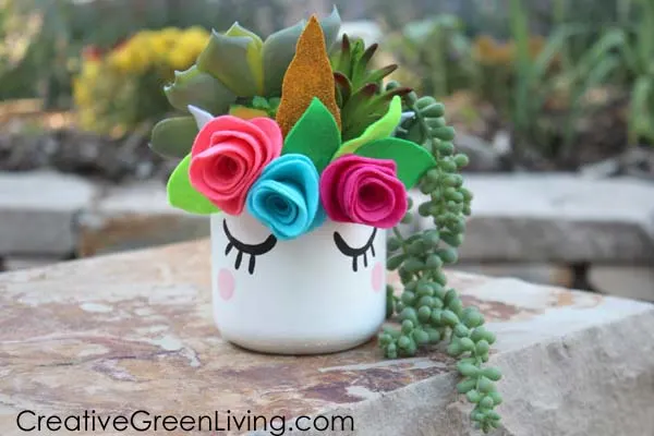 Succulent Planter