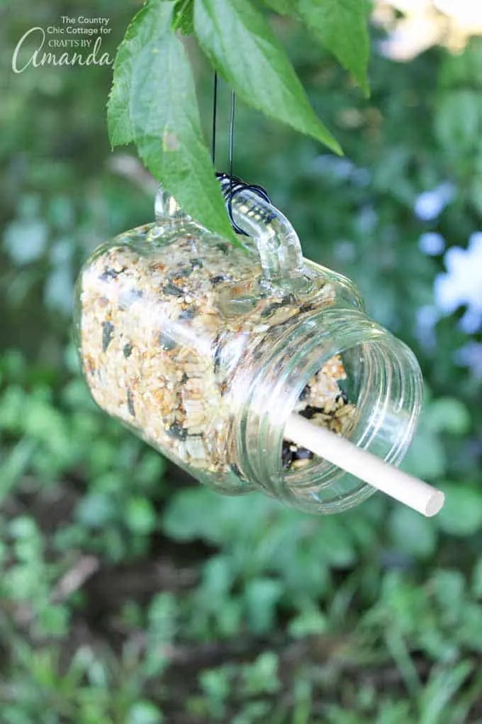 Bird Feeder