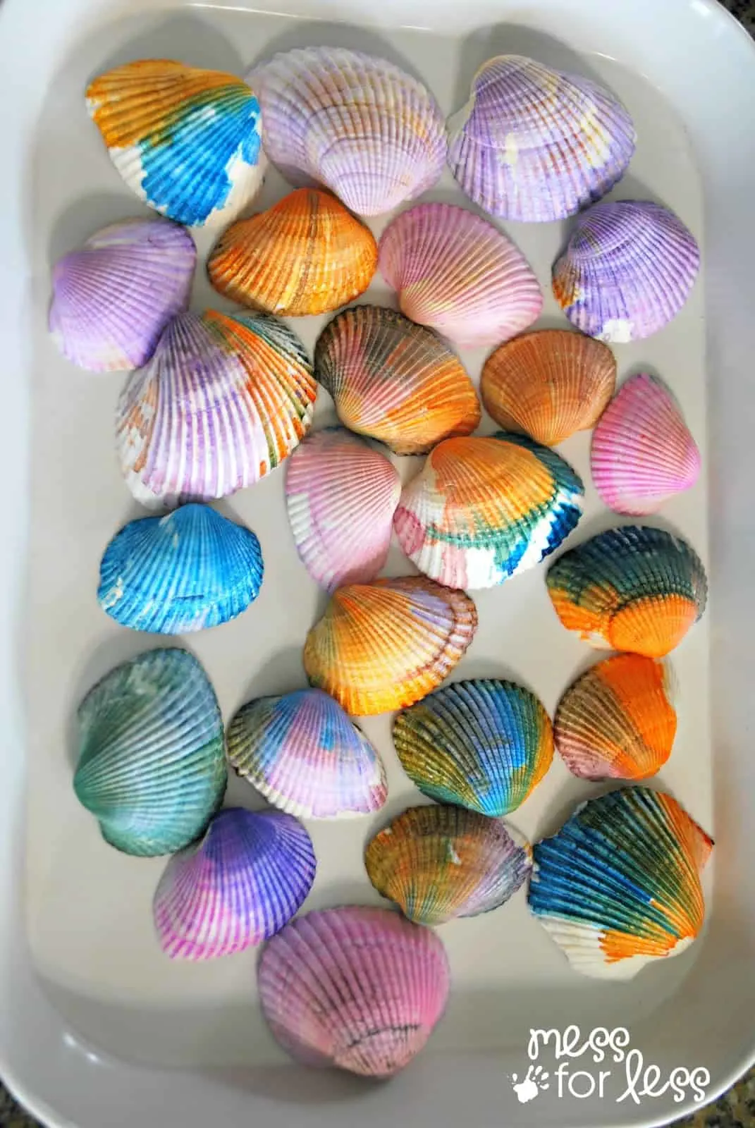 Watercolour Seashells