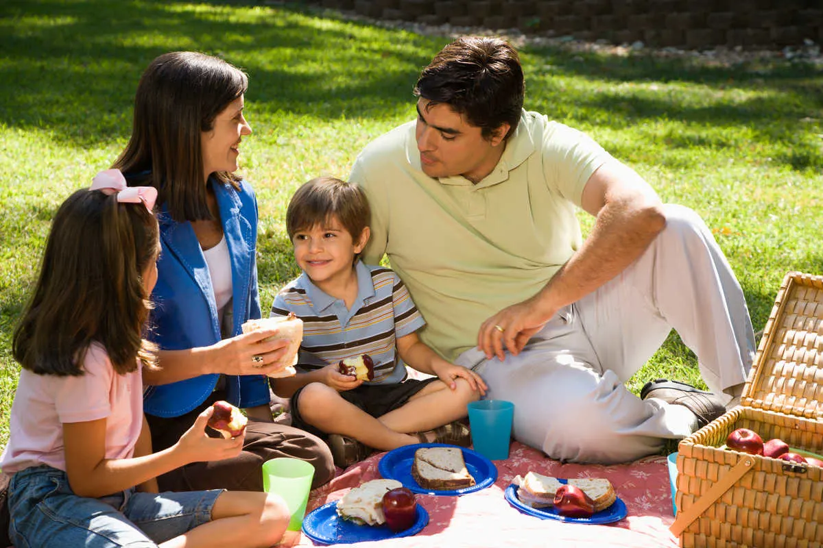 Picnic