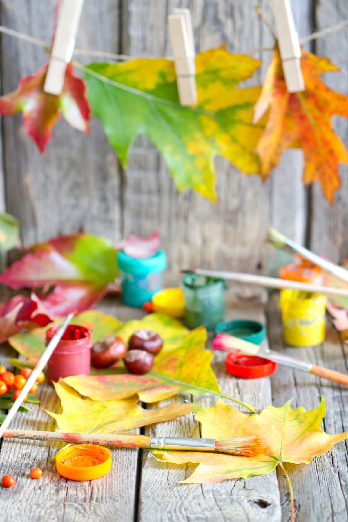 Nature Paint Brushes