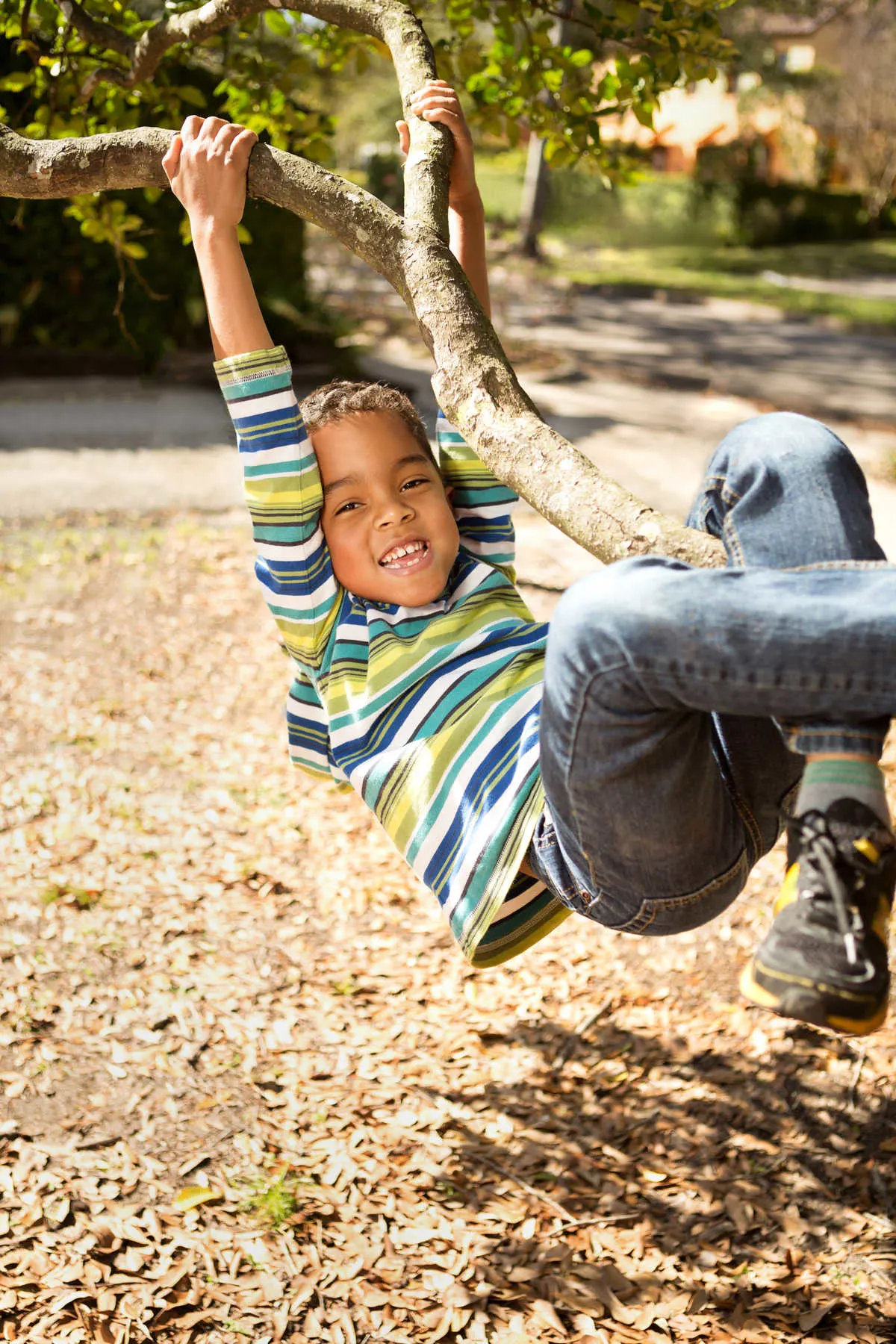 Climb a Tree