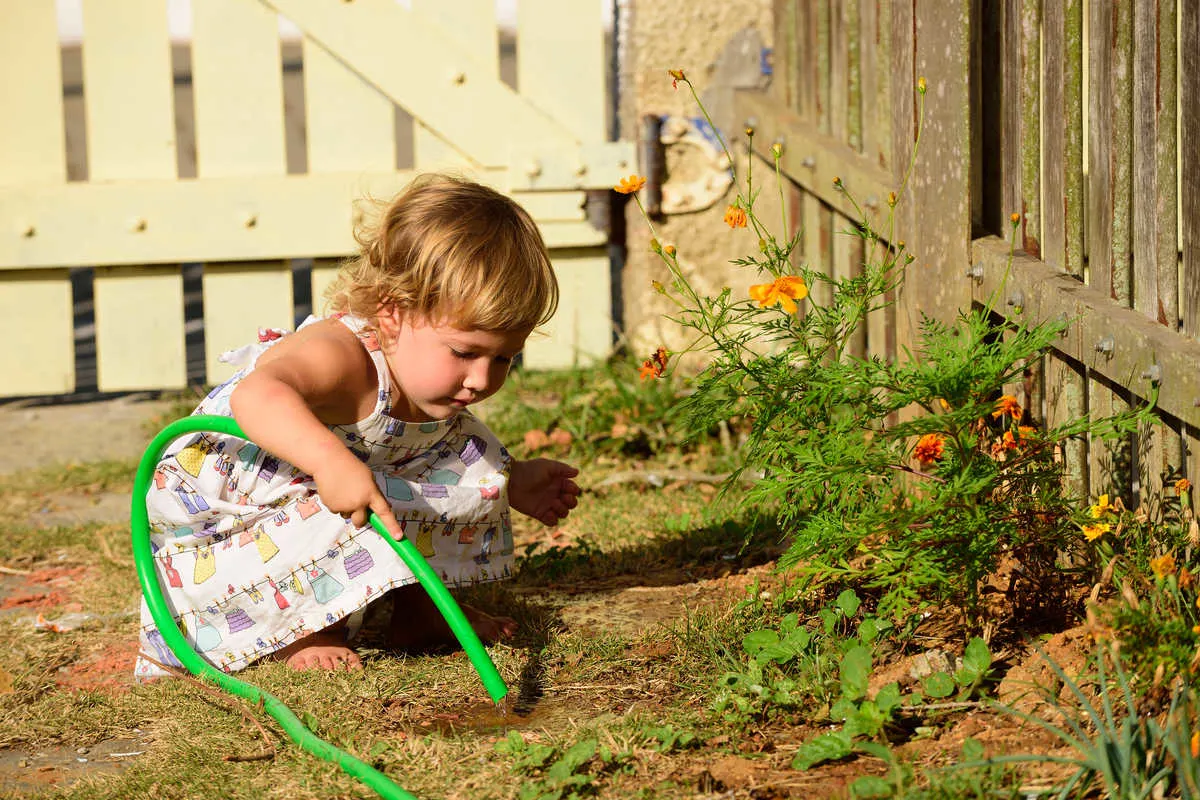 Watering the Plant