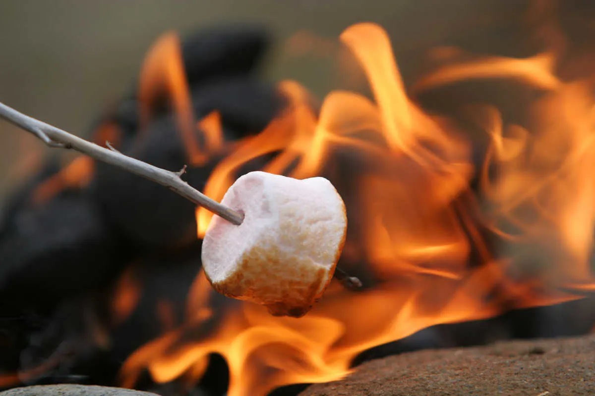 Toast Marshmallows