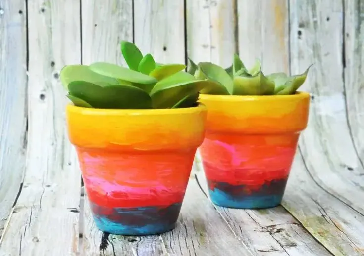 Rainbow Ombre Flower Pots