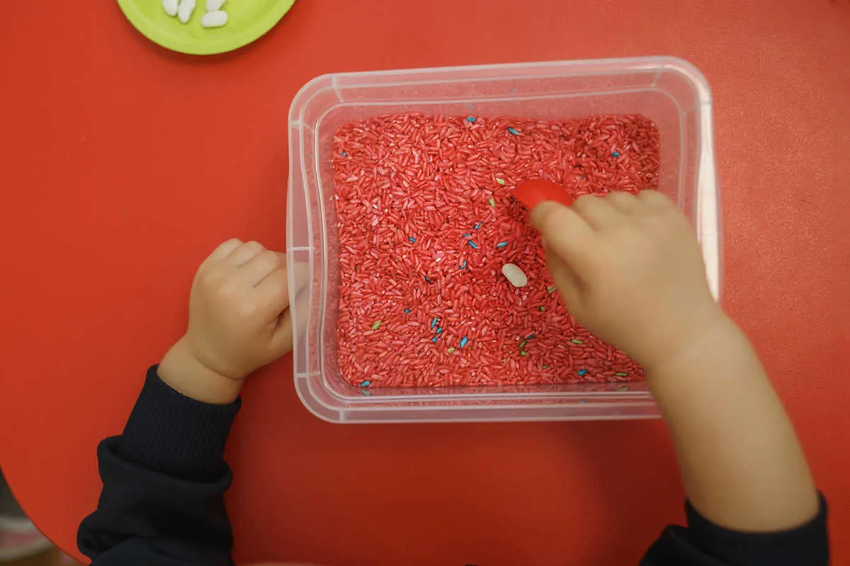 Sensory Bin