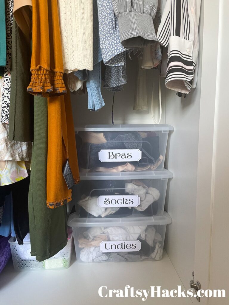 organize closet with labels