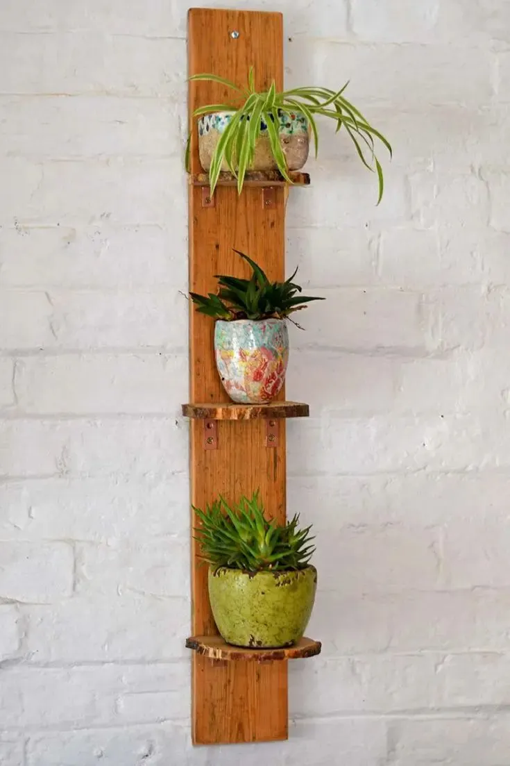 Plant Shelves