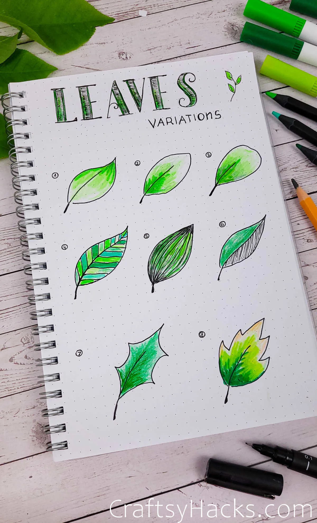 leaves