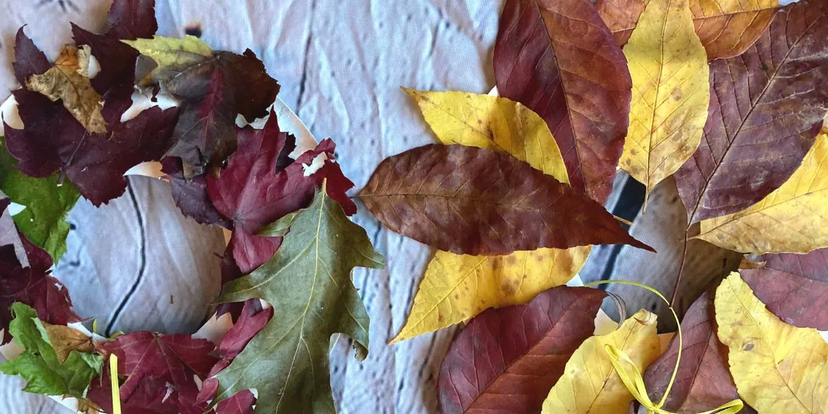 Fall Wreath