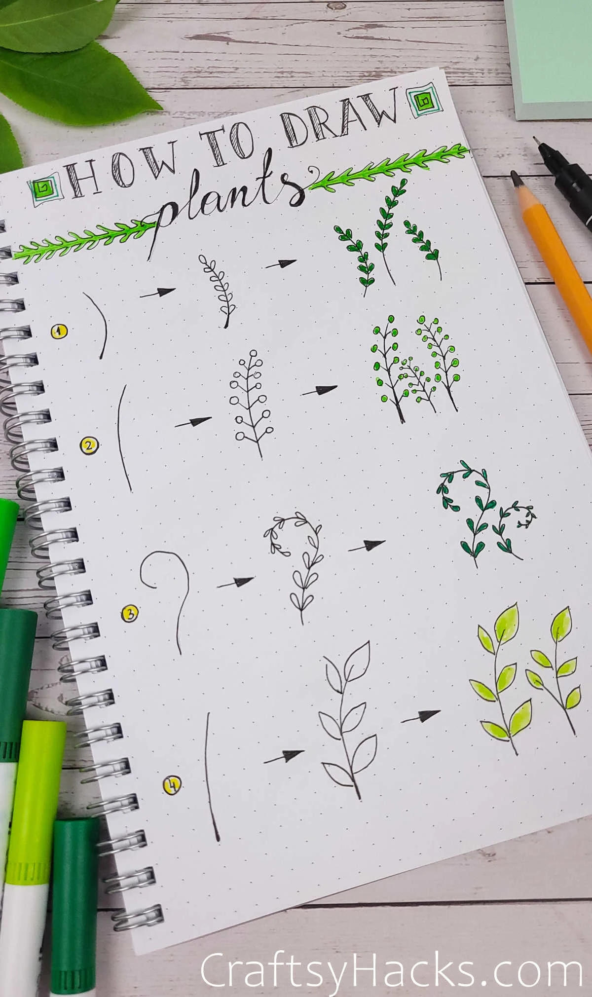 How to Draw Plants