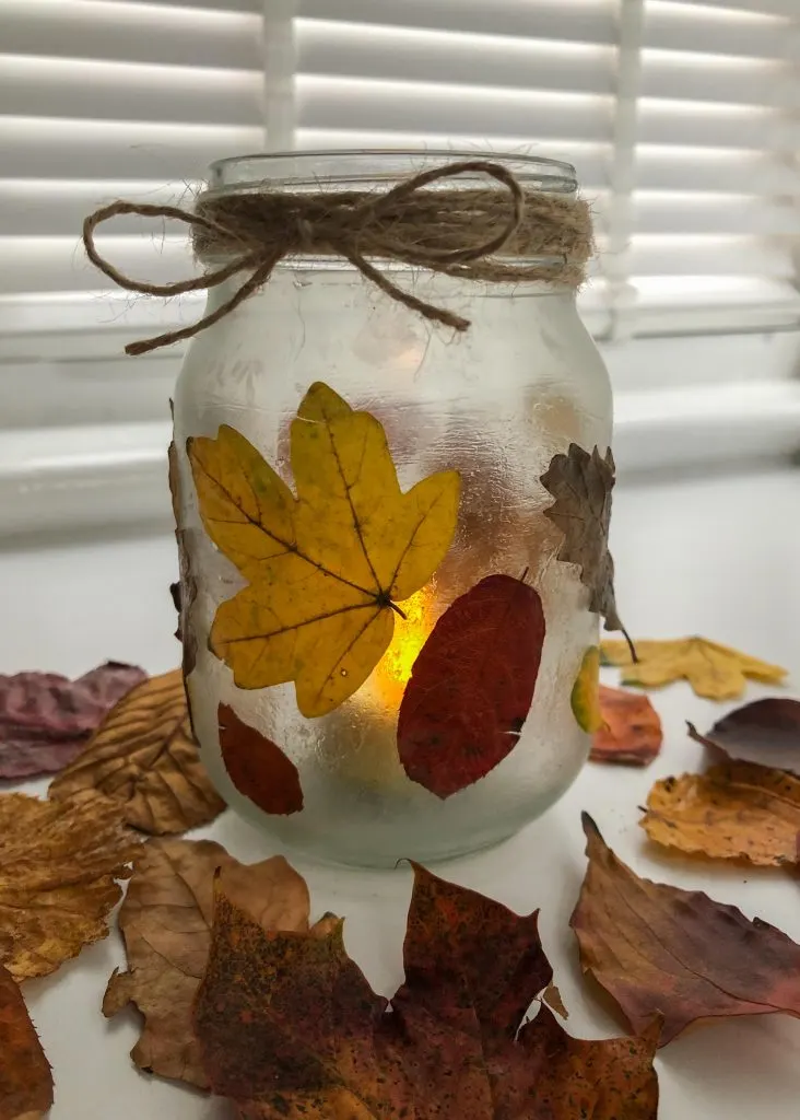 Nature Mason Jar Lantern