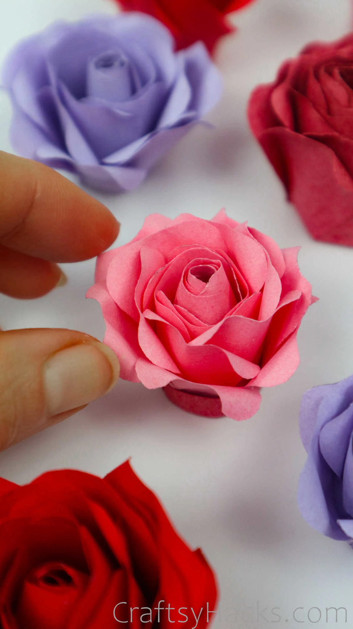 completed paper rose